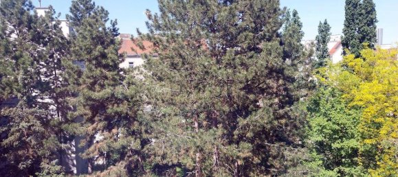 4 rooms Apartment in Brigittenau, Austria No. 262263 11