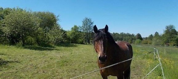  Land in Wetteraukreis, Germany No. 56593 6