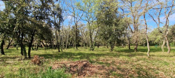 Terreno em Saint-Siffret, France 1200 m² N.º 291476 2