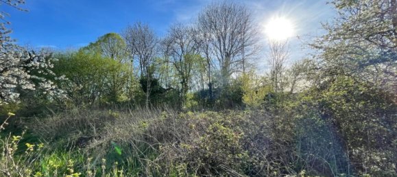 3 Schlafzimmer Villa in Le Pailly, France, Nr. 73933 10