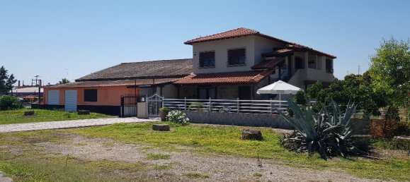 510m² Property in Chalkidiki, Greece No. 5343 3