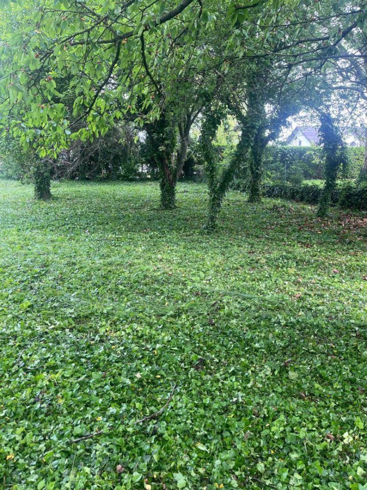 Grundstück in Ebreichsdorf, Austria 822m², Nr. 162360