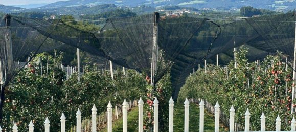 9غرفة فيلا في Weiz, Austria رقم 179209 15