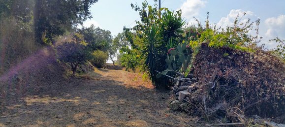 6 bedrooms House in Altavilla Silentina, Italy No. 372234 11