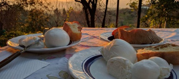 6 bedrooms House in Altavilla Silentina, Italy No. 372234 15