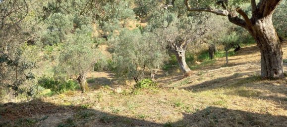 6 bedrooms House in Altavilla Silentina, Italy No. 372234 10