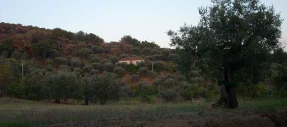 6 bedrooms House in Altavilla Silentina, Italy No. 372234 3