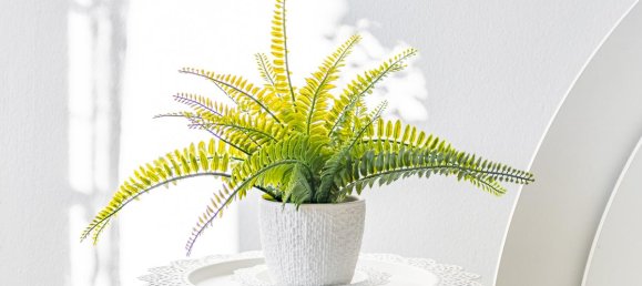 1 غرف نوم شقة في Munich, Germany رقم 307619 9