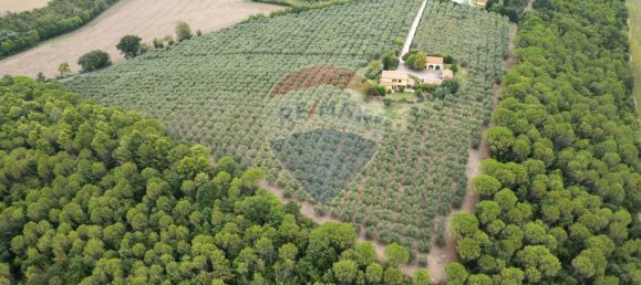 4 bedrooms House in Morrovalle, Italy No. 313524 11