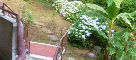 5 rooms Villa in Carrara, Italy No. 51770 2