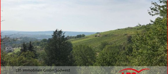 Land in Enzkreis, Germany No. 27291 3