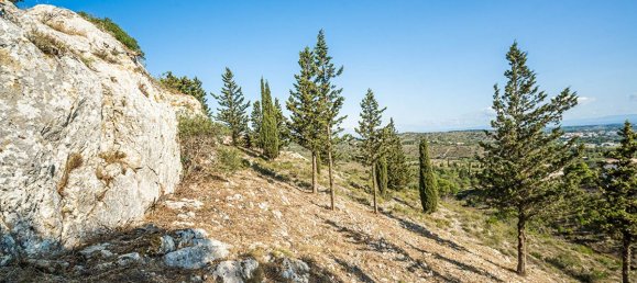 1084m² Land in Narbonne, France No. 339347 3