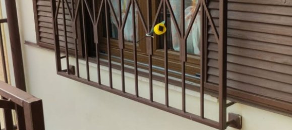 8 rooms House in Pecetto di Valenza, Italy No. 250773 11