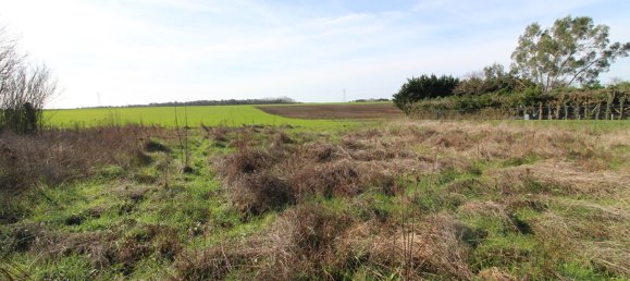 Grundstück in Blere, France 631m², Nr. 83140 2