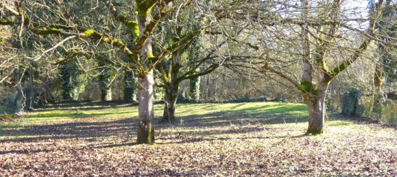 Casa T5 em Jussac, France N.º 59014 3