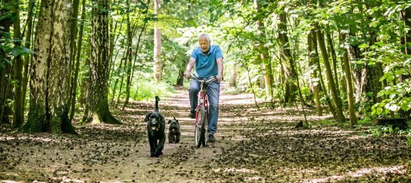 Moradia em banda T3 em Grunewald, Germany N.º 370180 12