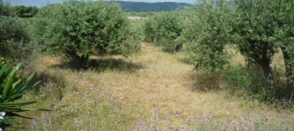 Terrain à Furnari, Italy 14000m² No. 159949 4