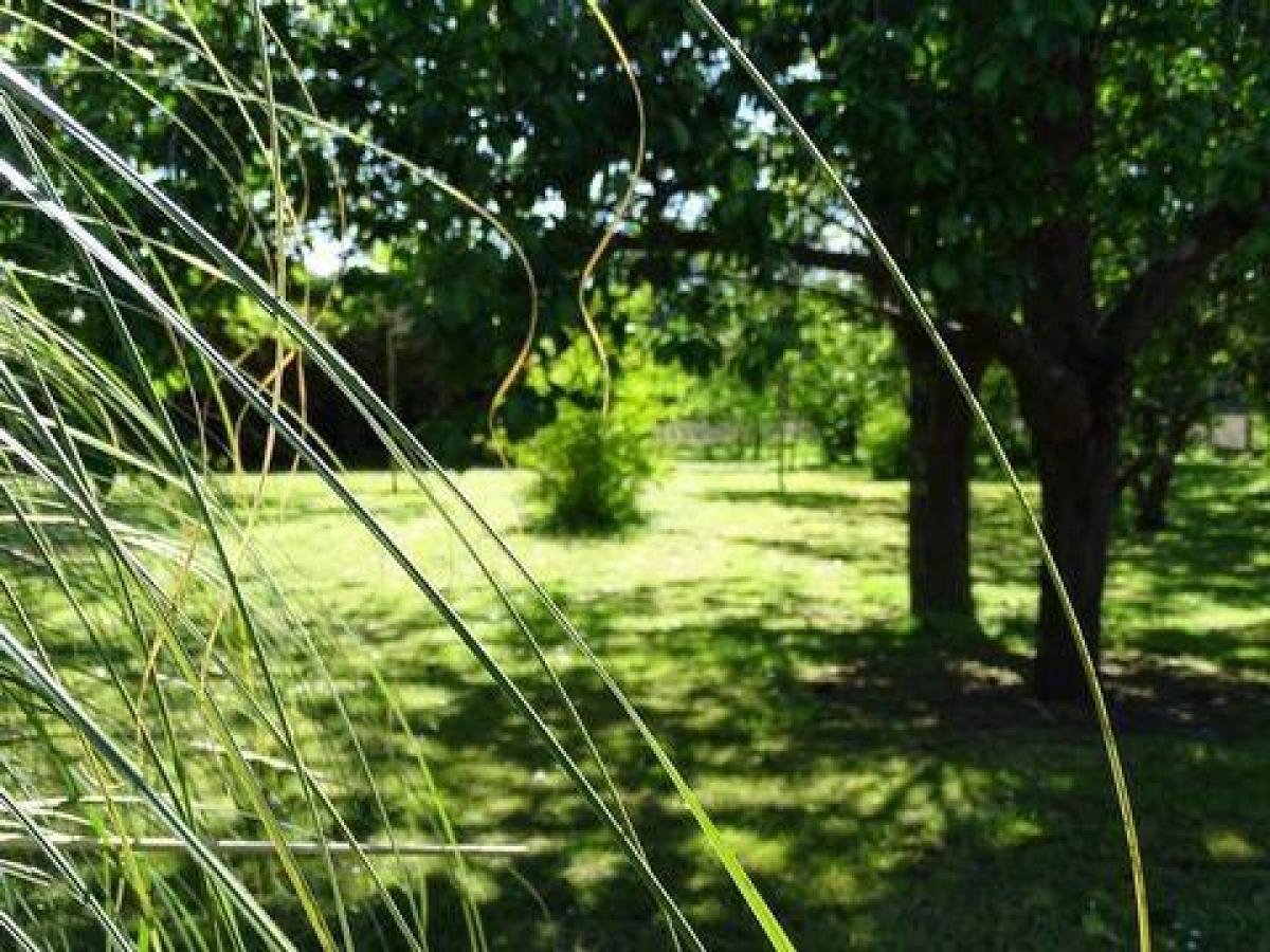 5 غرف نوم منزل في Saumur, France رقم 32373