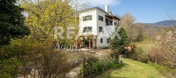 4 Schlafzimmer Haus in Mouresi, Greece, Nr. 89990 9