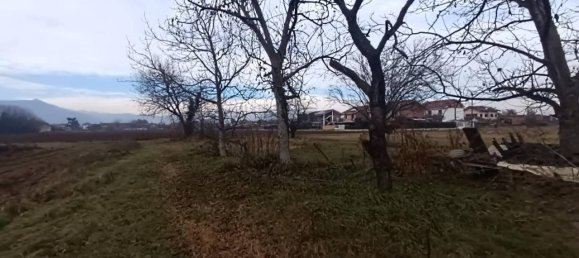 14000m² Land in Rivalta di Torino, Italy No. 30952 7