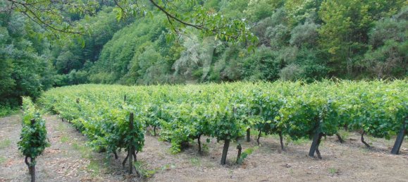 8 Schlafzimmer Hotel in Vila Real, Portugal, Nr. 126247 33