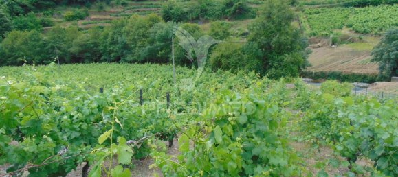 8 Schlafzimmer Hotel in Vila Real, Portugal, Nr. 126247 39