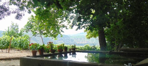 8 Schlafzimmer Hotel in Vila Real, Portugal, Nr. 126247 20