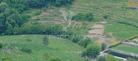 8 Schlafzimmer Hotel in Vila Real, Portugal, Nr. 126247 37