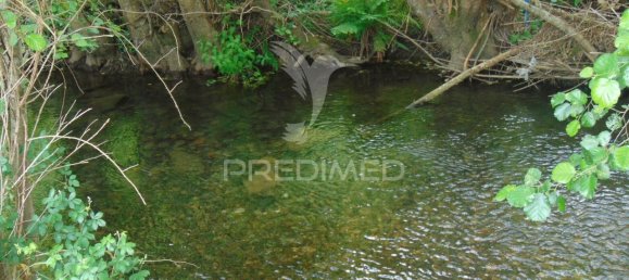 8 Schlafzimmer Hotel in Vila Real, Portugal, Nr. 126247 31