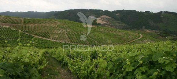 8 Schlafzimmer Hotel in Vila Real, Portugal, Nr. 126247 22