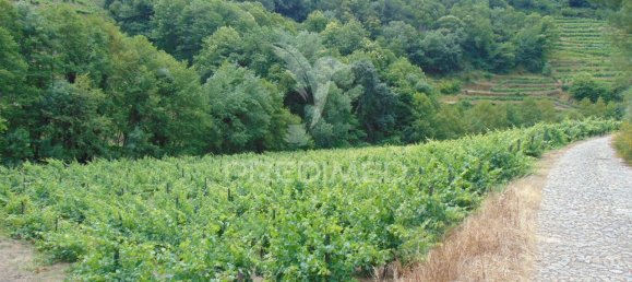 8 Schlafzimmer Hotel in Vila Real, Portugal, Nr. 126247 34