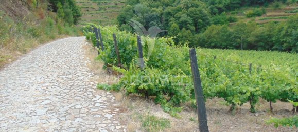 8 Schlafzimmer Hotel in Vila Real, Portugal, Nr. 126247 27