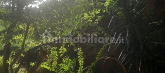 1 غرف نوم شقة في Rome, Italy رقم 374149 4