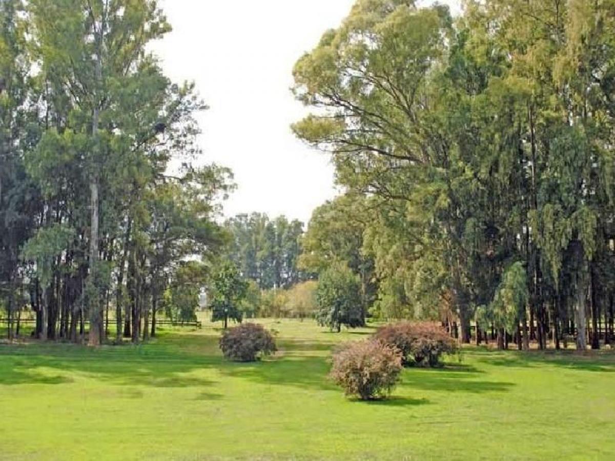  Land in General Rodriguez, Argentina No. 113314