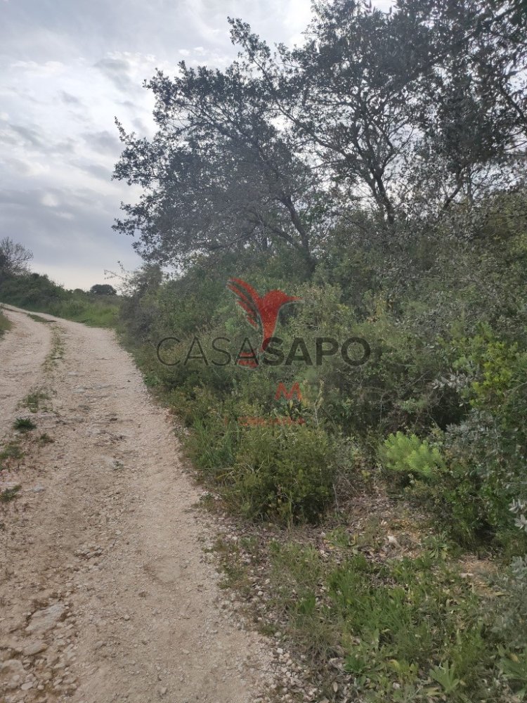  Land in Quarteira, Portugal No. 193875