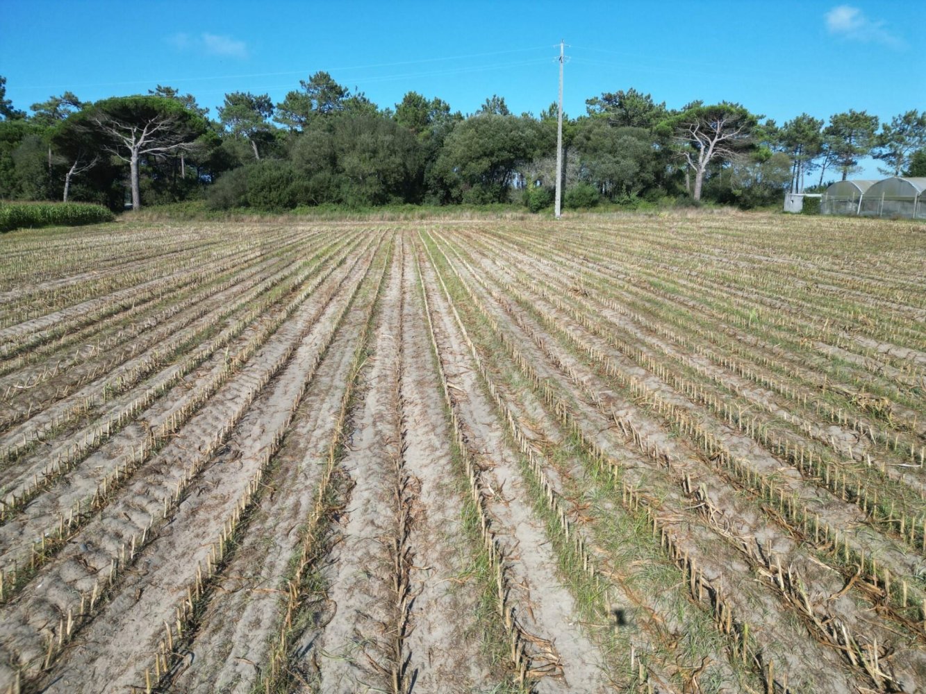 Земельный участок в Повуа ди Варзин, Португалия № 303498