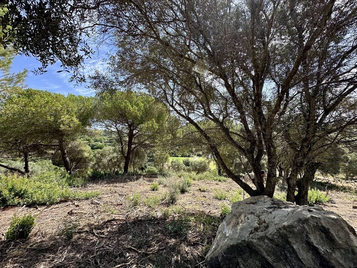  Land in Cadiz, Spain No. 266570