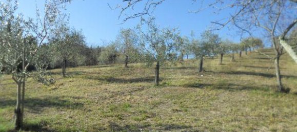 Terreno em Murlo, Italy 32640 m² N.º 324607 7