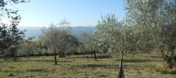 Terreno em Murlo, Italy 32640 m² N.º 324607 5