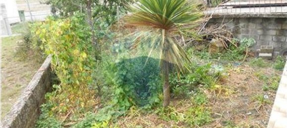 3 chambres Maison à Montalegre, Portugal No. 19697 8