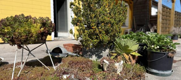 8 bedrooms Apartment in Pochlarn, Austria No. 145384 6