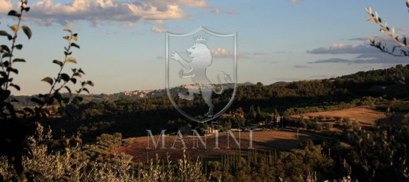 12 bedrooms House in Torrita di Siena, Italy No. 235049 18