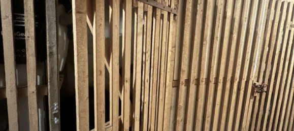 1 Schlafzimmer Wohnung in Mainz, Germany, Nr. 107663 5