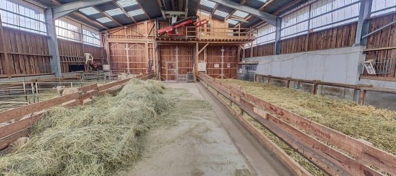 6 غرف نوم منزل في Sainte-Marie-aux-Mines, France رقم 66955 4