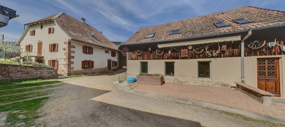 6 غرف نوم منزل في Sainte-Marie-aux-Mines, France رقم 66955 5