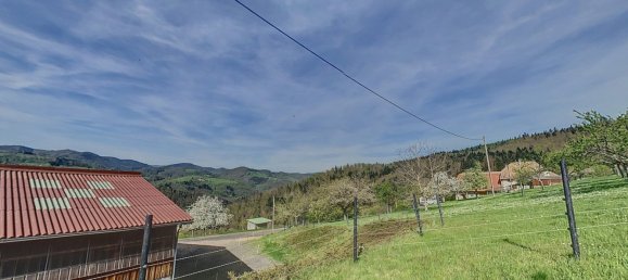 6 غرف نوم منزل في Sainte-Marie-aux-Mines, France رقم 66955 12