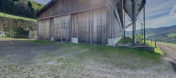 6 غرف نوم منزل في Sainte-Marie-aux-Mines, France رقم 66955 3