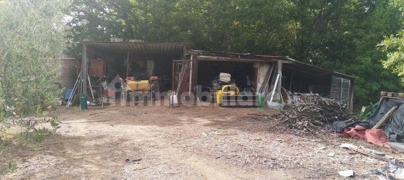 Grundstück in Civitella Paganico, Italy 50000m², Nr. 159896 4