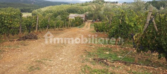 Grundstück in Civitella Paganico, Italy 50000m², Nr. 159896 2