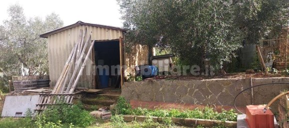 Grundstück in Civitella Paganico, Italy 50000m², Nr. 159896 11